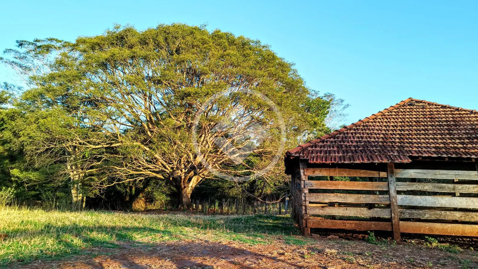 Imagem 4 - Fazenda em Camargo, Ituiutaba - MG