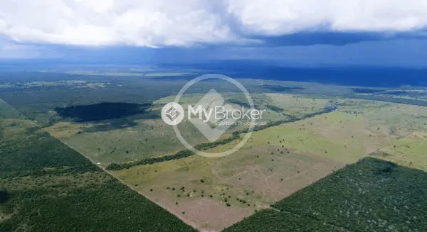 Imagem 3 - Fazenda em Fazenda São Domingos, Goiânia - GO