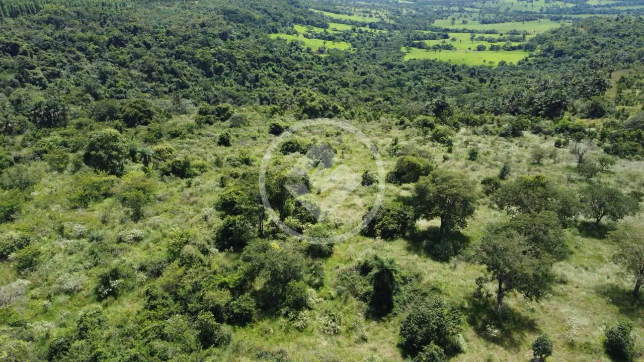 Imagem 5 - Fazenda em Centro, Comendador Gomes - MG