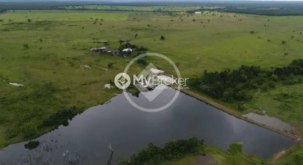 Imagem 6 - Fazenda em Fazenda São Domingos, Goiânia - GO