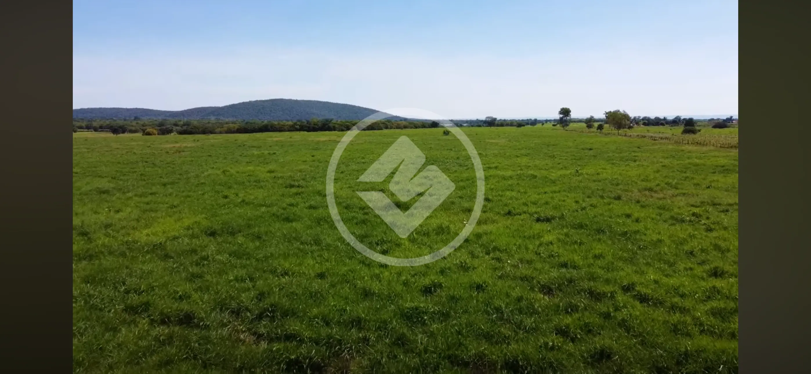 Imagem 4 - Fazenda em Centro, Wanderley - BA