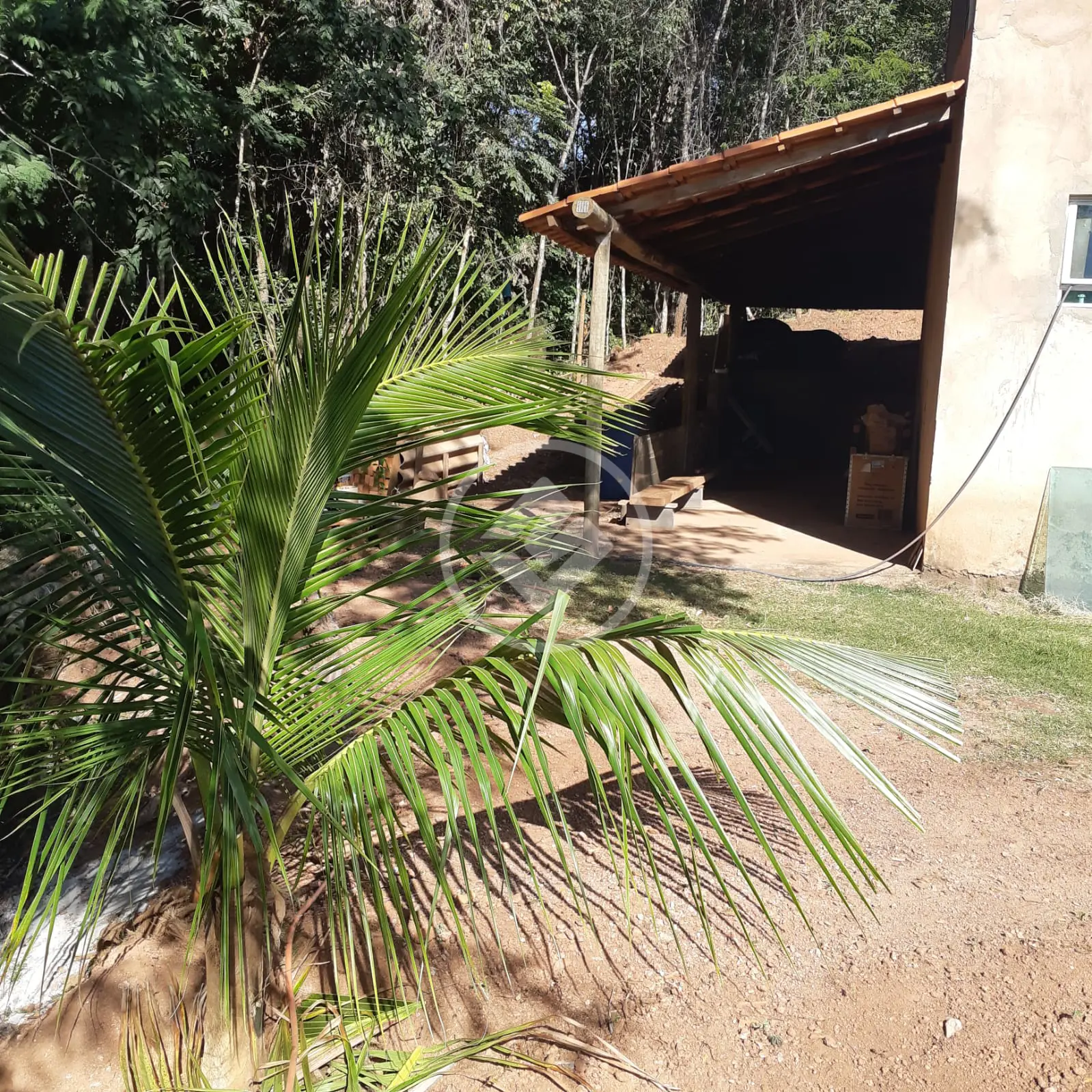 Imagem 3 - Sítio em Área Rural de Uberlândia, Uberlândia - MG