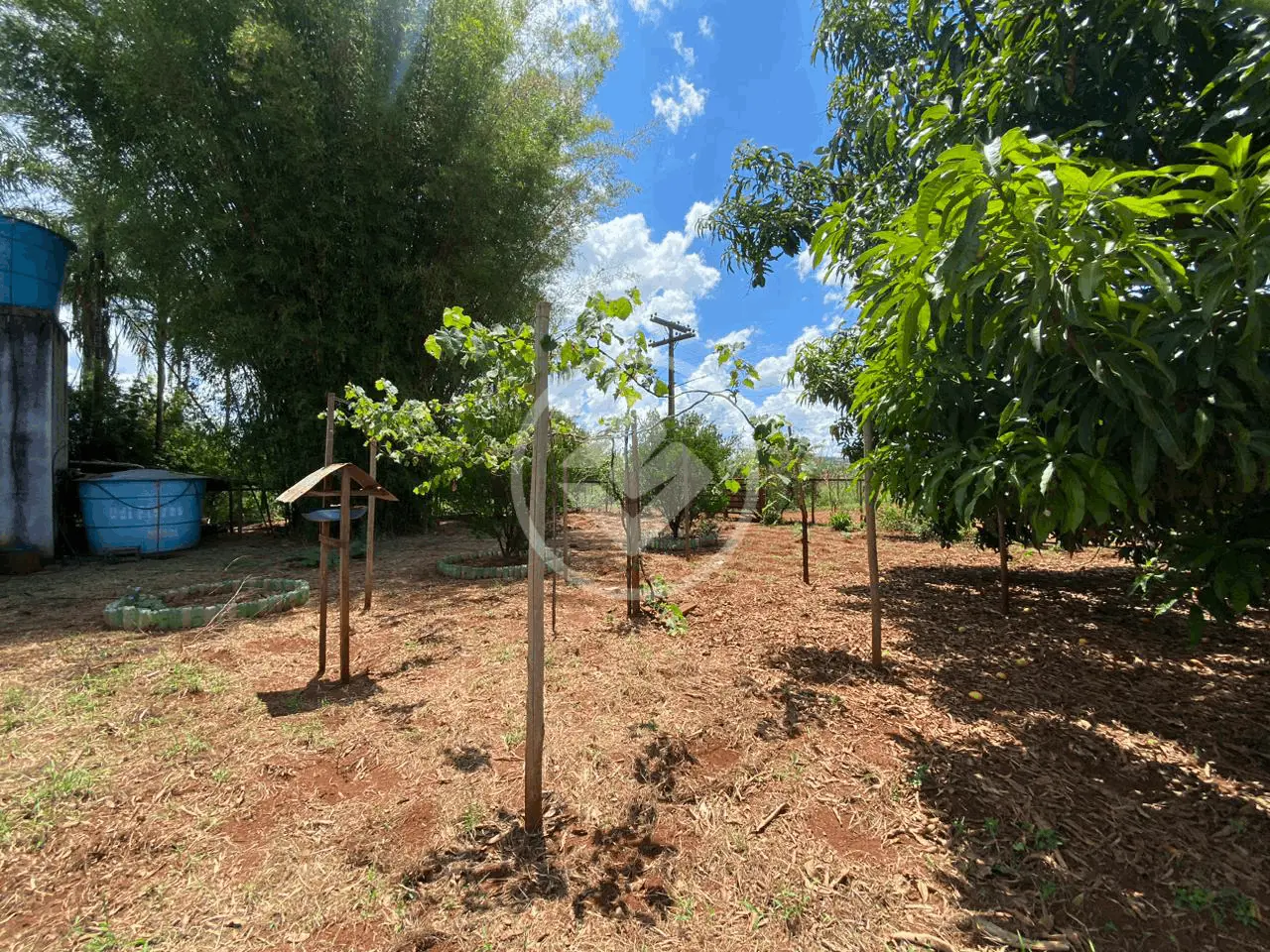 Imagem 4 - Chácara em Área Rural de Uberlândia, Uberlândia - MG