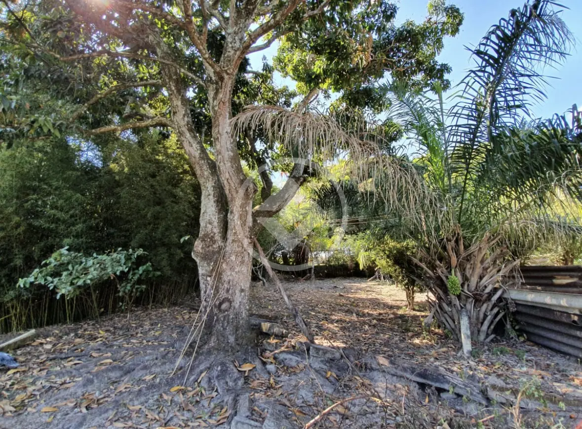 Fazenda Área Rural de Uberlândia, Uberlândia - MG — foto 2