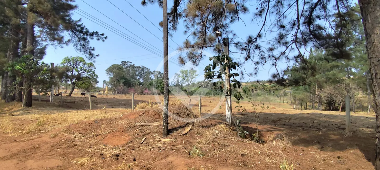 Imagem 2 - Chácara em Área Rural de Uberlândia, Uberlândia - MG