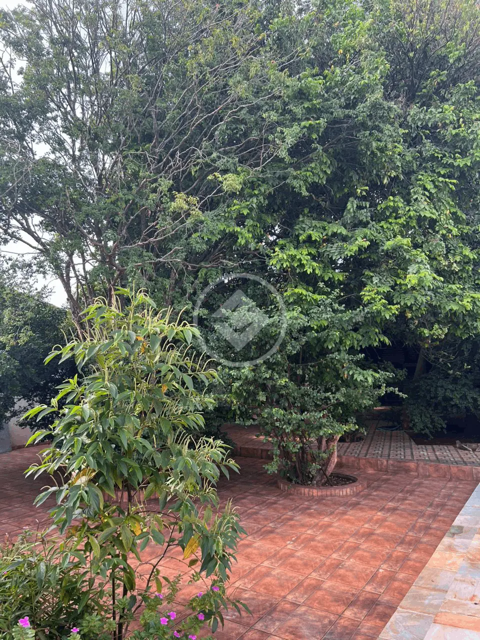 Imagem 3 - Casa em BRASIL, Uberlândia - MG
