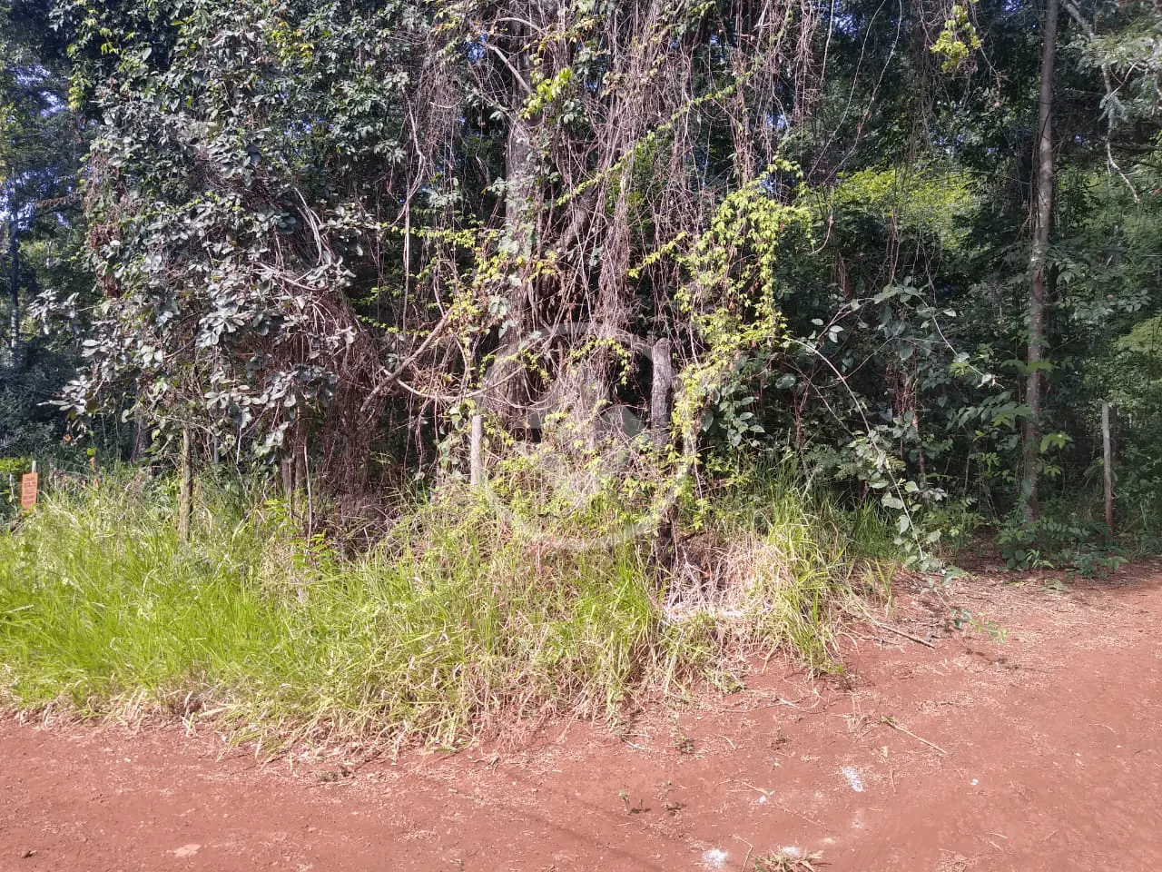 Imagem 6 - Chácara em Área Rural de Uberlândia, Uberlândia - MG