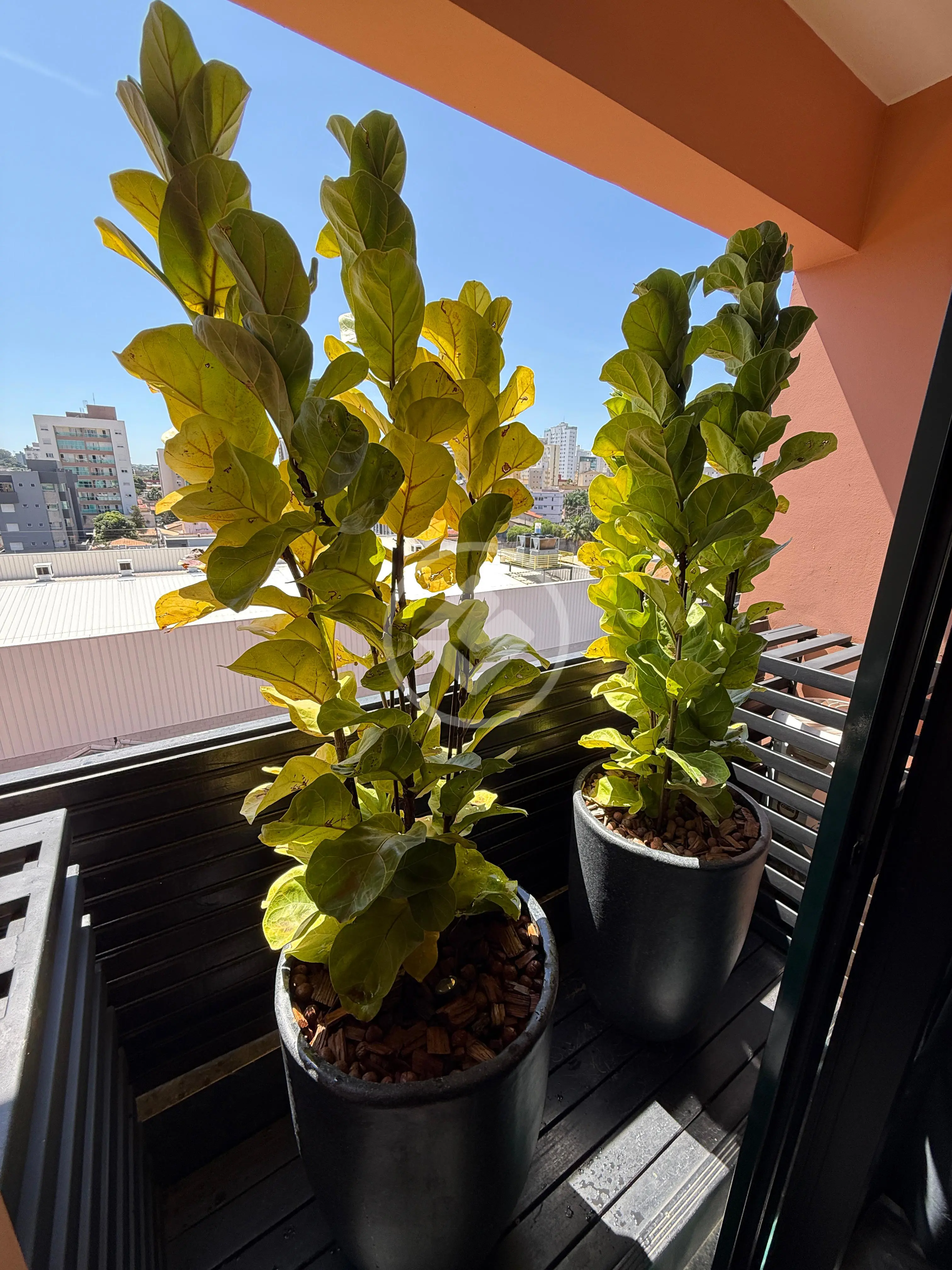 Image 10 - Apartamento em Patrimônio, Uberlândia - MG