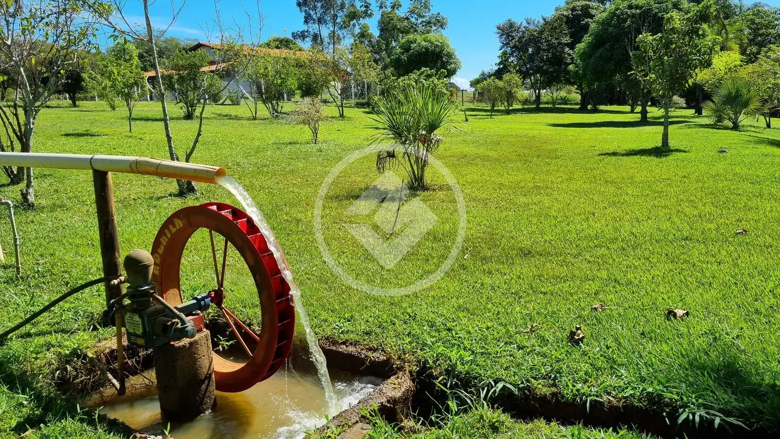 Imagem 5 - Chácara em Centro, Tupaciguara - MG