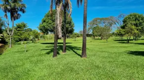 Imagem 3 - Chácara em Centro, Tupaciguara - MG