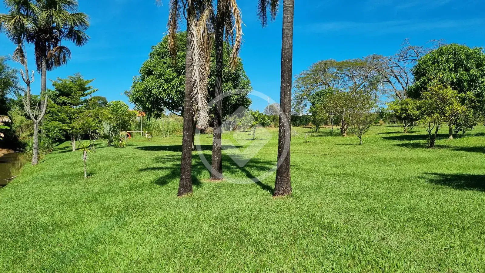 Imagem 3 - Chácara em Centro, Tupaciguara - MG