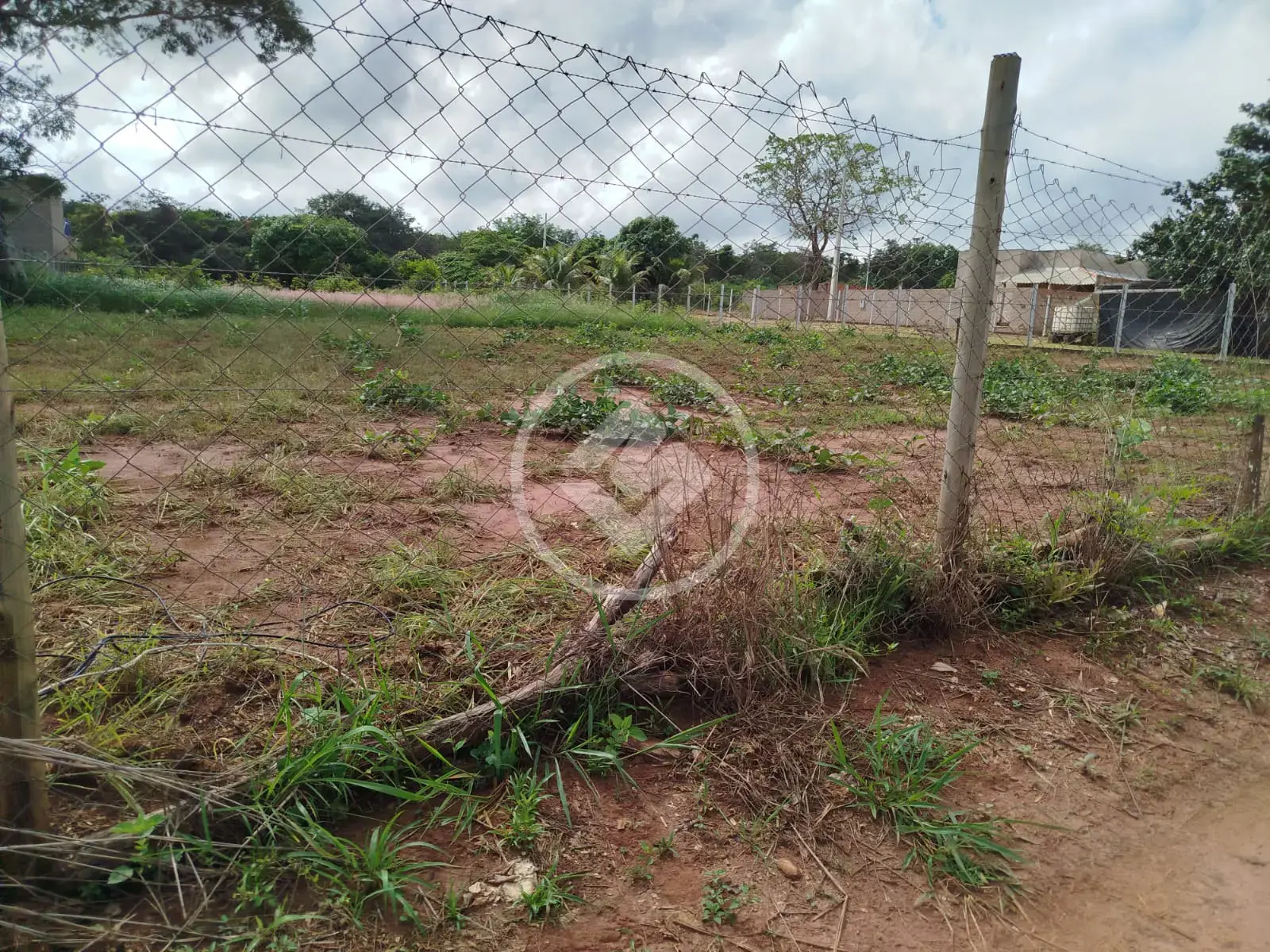 Imagem 1 - Chácara em Chácaras Paraiso, Uberlândia - MG