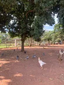 Imagem 4 - Casa Condomínio em Morada do Sol, Uberlândia - MG