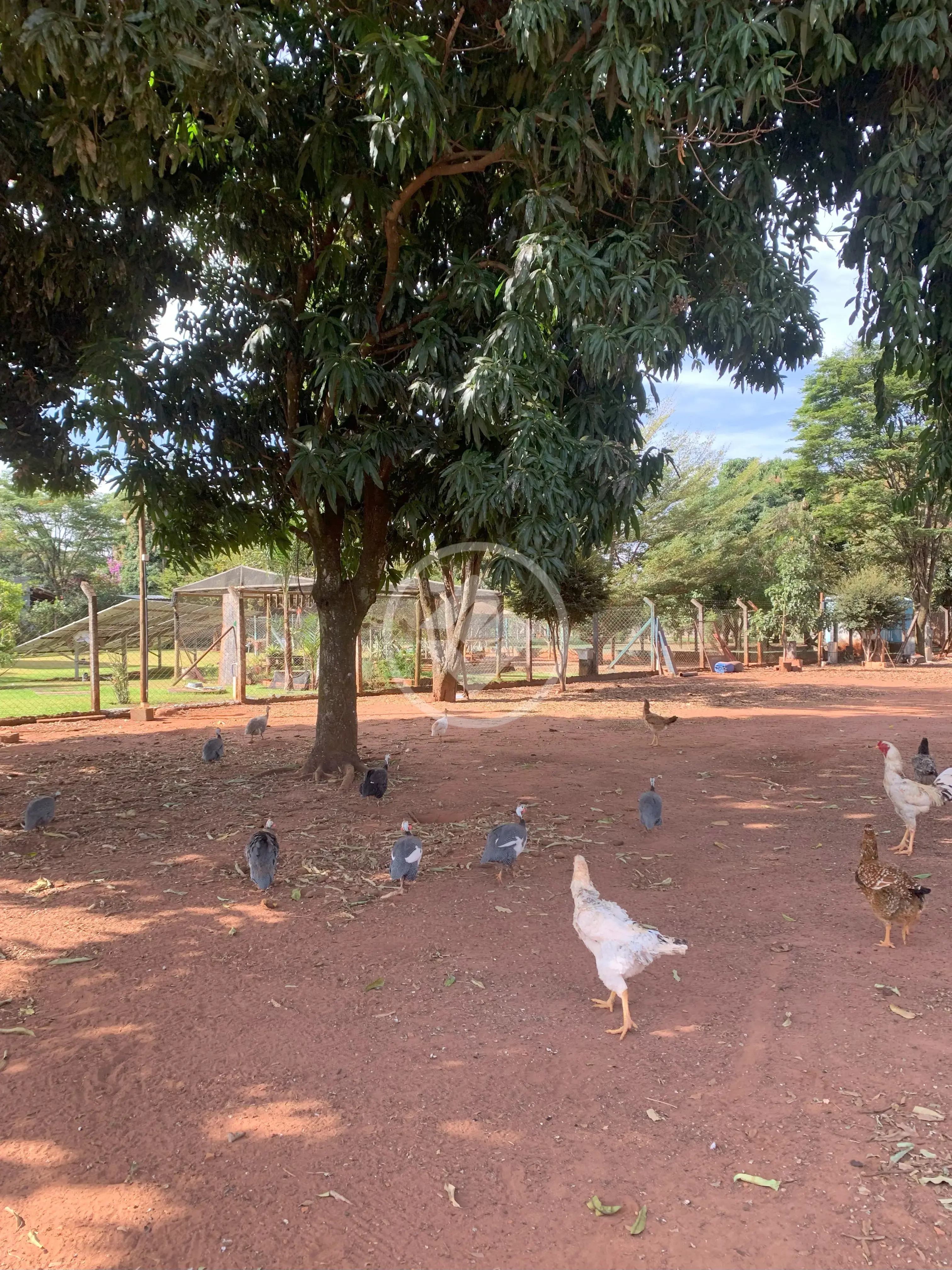 Imagem 4 - Casa Condomínio em Morada do Sol, Uberlândia - MG
