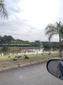 Imagem 3 - Casa Condomínio em Morada do Sol, Uberlândia - MG