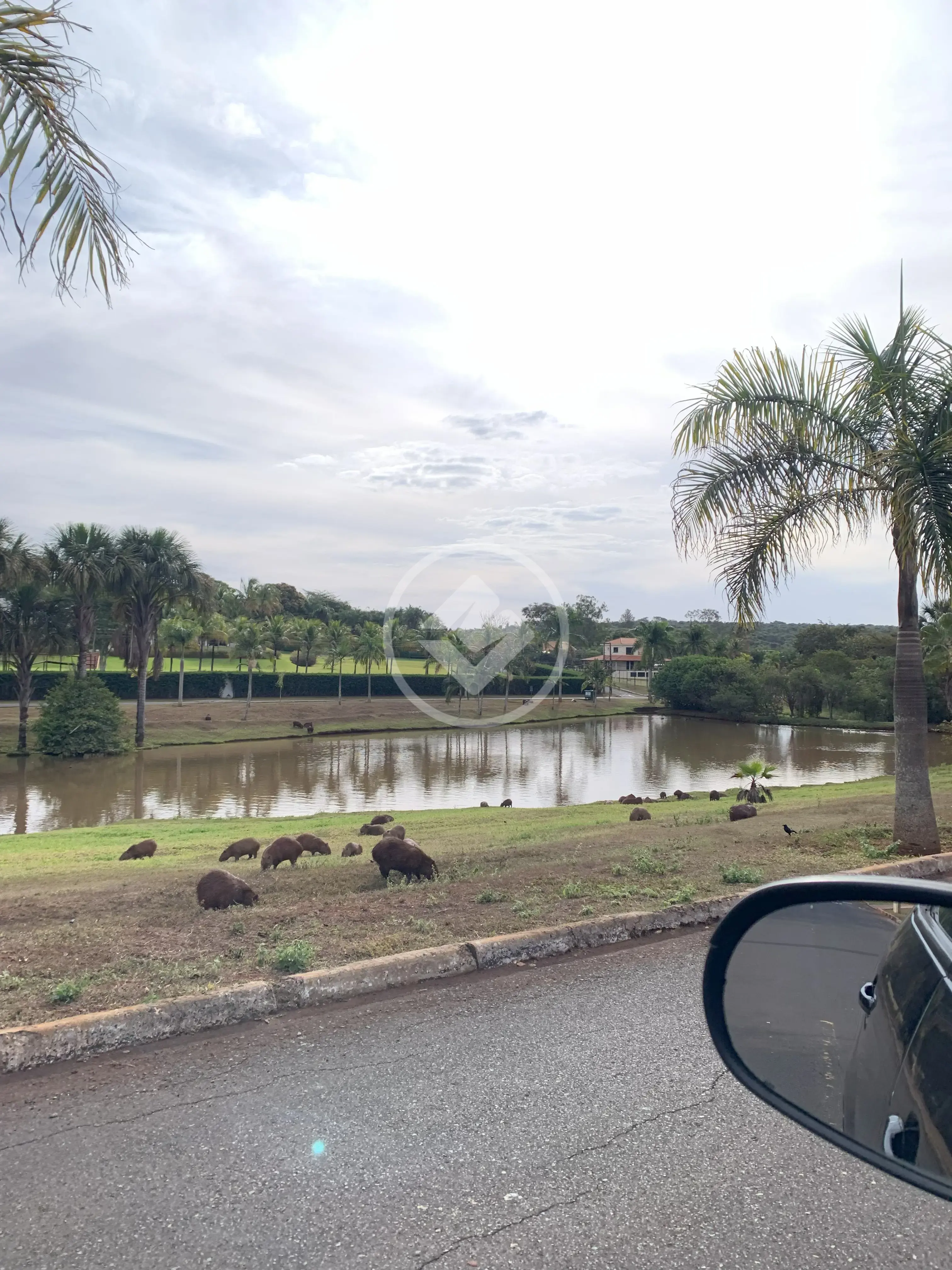 Imagem 3 - Casa Condomínio em Morada do Sol, Uberlândia - MG