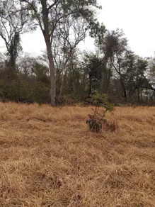 Chácara Rural, Caçu - GO — foto 1