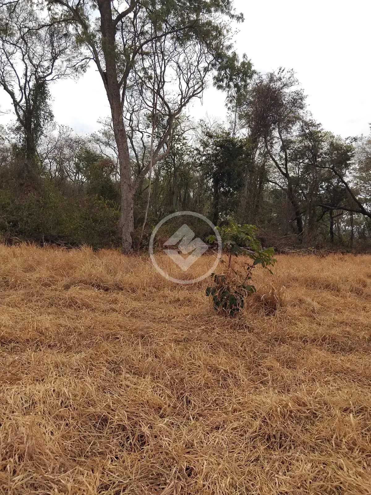 Imagem 1 - Chácara em Rural, Caçu - GO