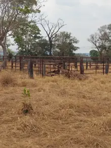 Chácara Rural, Caçu - GO — foto 2