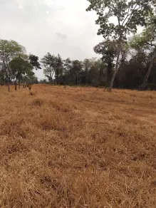 Imagem 5 - Chácara em Rural, Caçu - GO