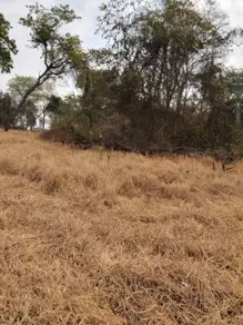 Imagem 2 - Chácara em Rural, Caçu - GO