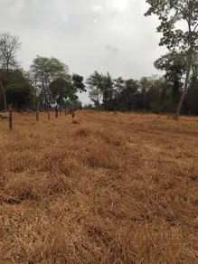 Imagem 6 - Chácara em Rural, Caçu - GO