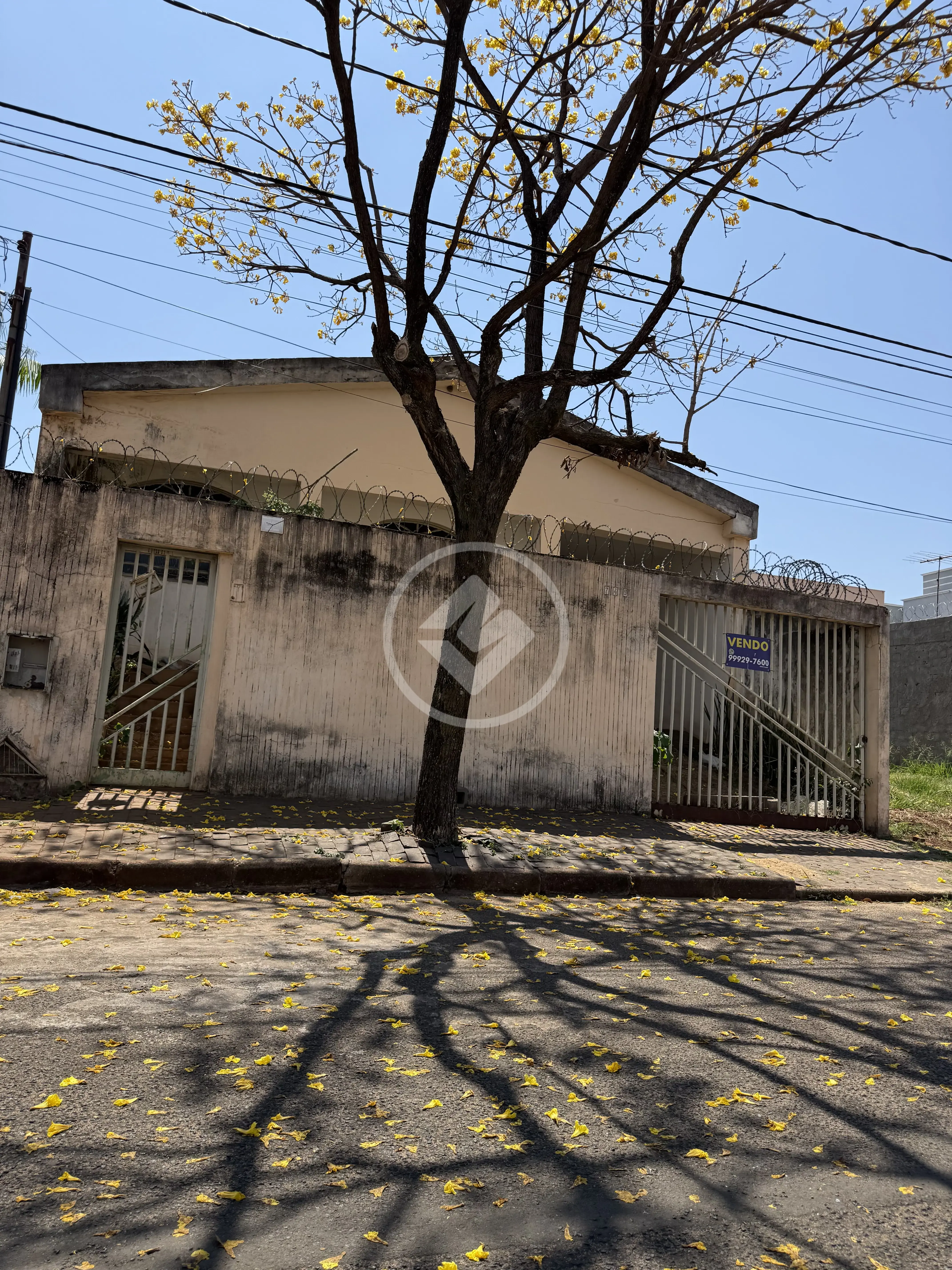 Imagem 2 - Terreno em Vigilato Pereira, Uberlândia - MG