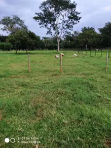 Imagem 2 - Chácara em Setor Chacaras Bom Jardim, Uberlândia - MG