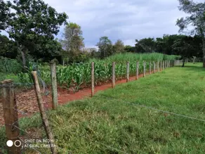 Imagem 5 - Chácara em Setor Chacaras Bom Jardim, Uberlândia - MG