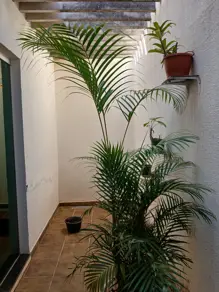 Imagem 2 - Casa em Santa Mônica, Uberlândia - MG