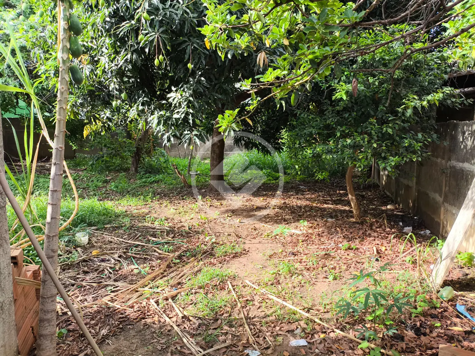 Imagem 1 - Terreno em Martins, Uberlândia - MG
