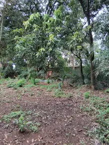 Imagem 3 - Terreno em Chácaras Panorama, Uberlândia - MG
