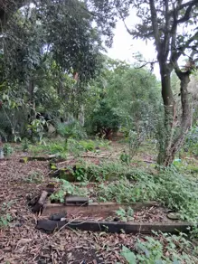 Imagem 6 - Terreno em Chácaras Panorama, Uberlândia - MG