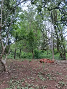 Imagem 5 - Terreno em Chácaras Panorama, Uberlândia - MG