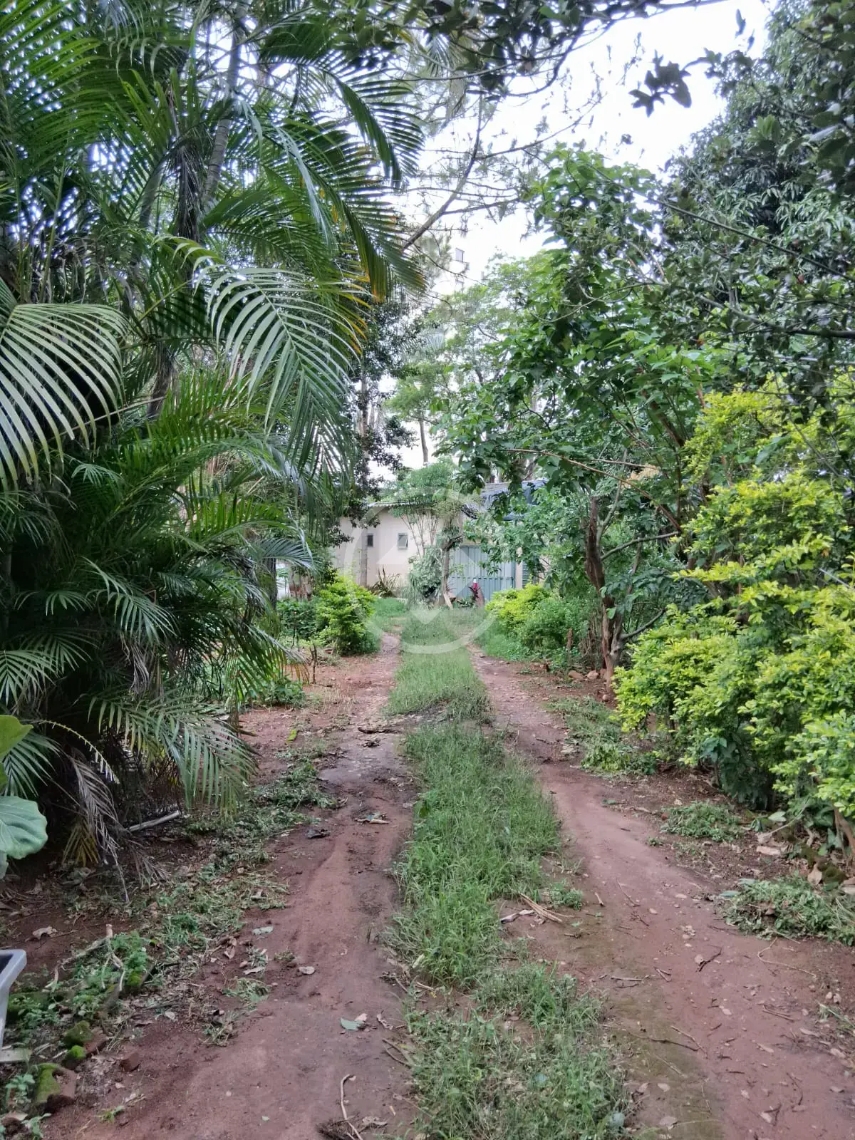 Imagem 1 - Terreno em Chácaras Panorama, Uberlândia - MG