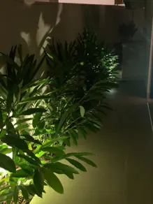 Imagem 2 - Sobrado Em Condomínio em Jardim Sul, Uberlândia - MG