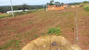 Imagem 2 - Chácara em Área Rural de Uberlândia, Uberlândia - MG