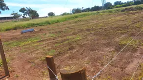 Imagem 5 - Chácara em Área Rural de Uberlândia, Uberlândia - MG