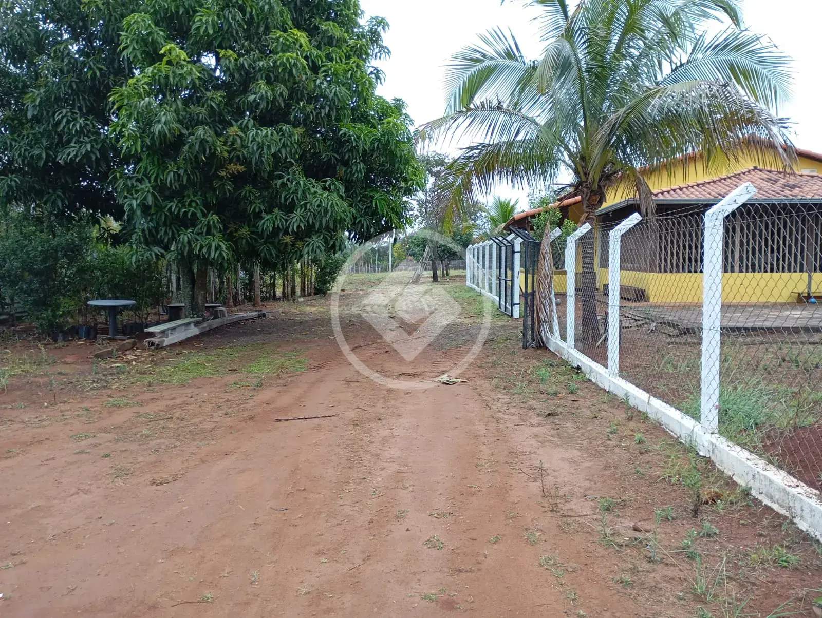 Imagem 6 - Chácara em Área Rural de Uberlândia, Uberlândia - MG