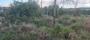 Imagem 4 - Chácara em Área Rural de Uberlândia, Uberlândia - MG