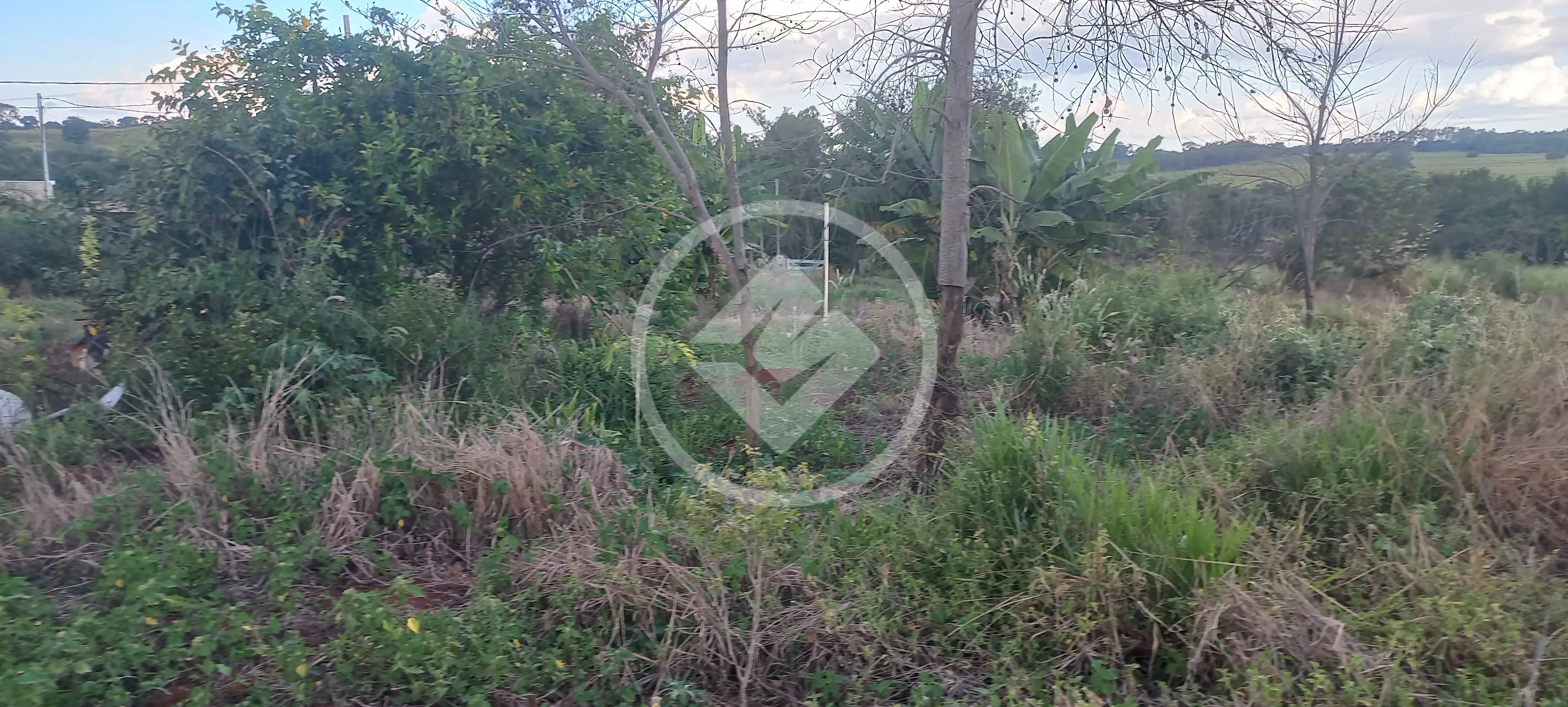 Imagem 4 - Chácara em Área Rural de Uberlândia, Uberlândia - MG
