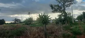 Imagem 2 - Chácara em Área Rural de Uberlândia, Uberlândia - MG