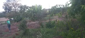 Imagem 3 - Chácara em Área Rural de Uberlândia, Uberlândia - MG