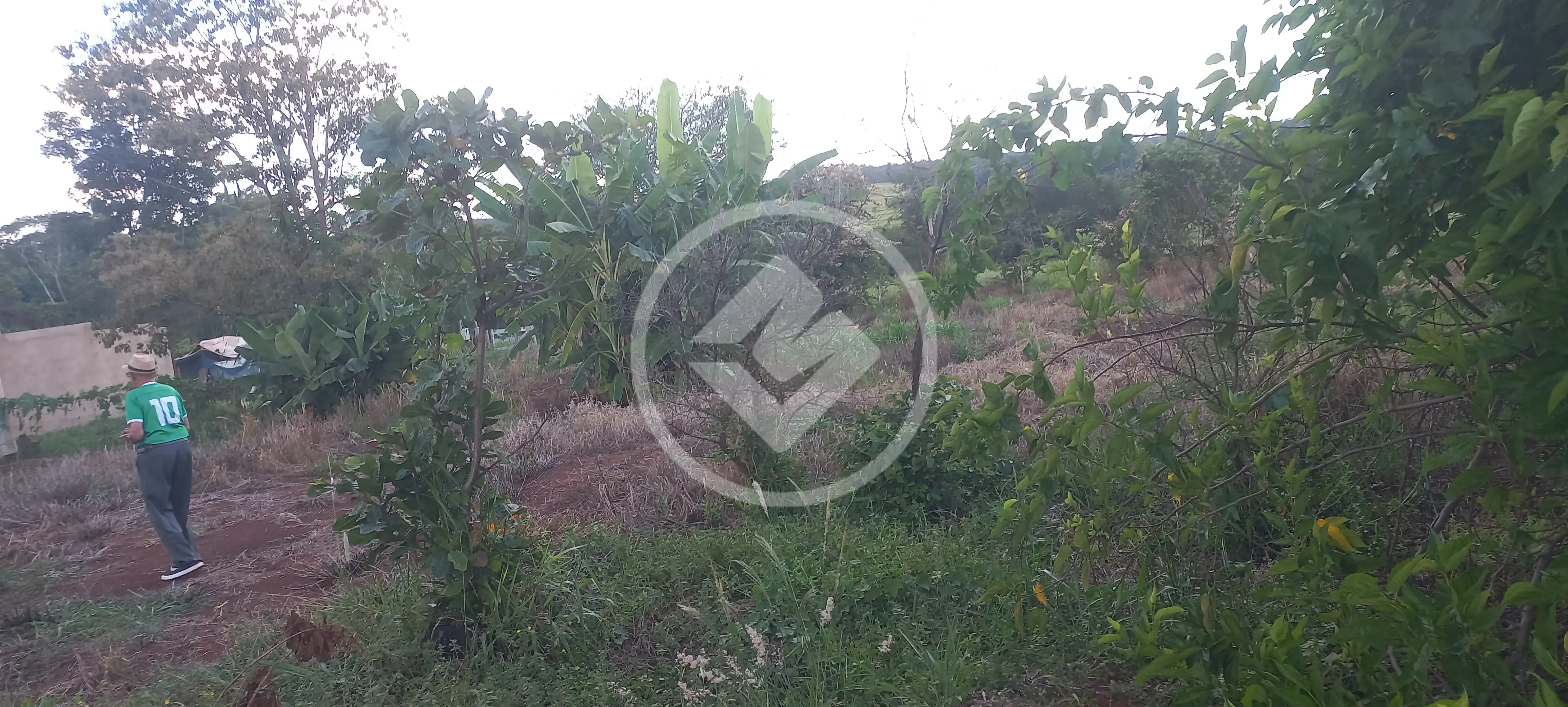 Imagem 3 - Chácara em Área Rural de Uberlândia, Uberlândia - MG