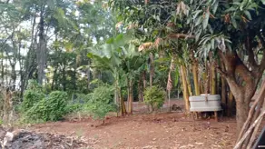 Imagem 2 - Chácara em Jardim Panorama, Uberlândia - MG