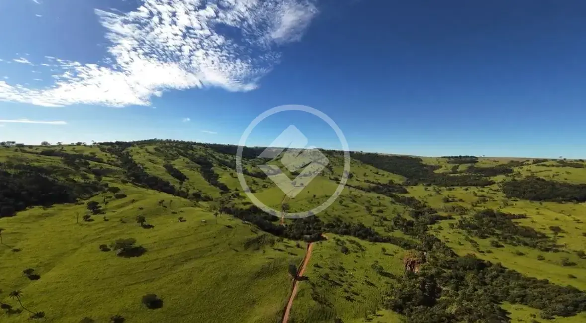 Imagem 6 - Fazenda em Zona Rural, Araguari - MG