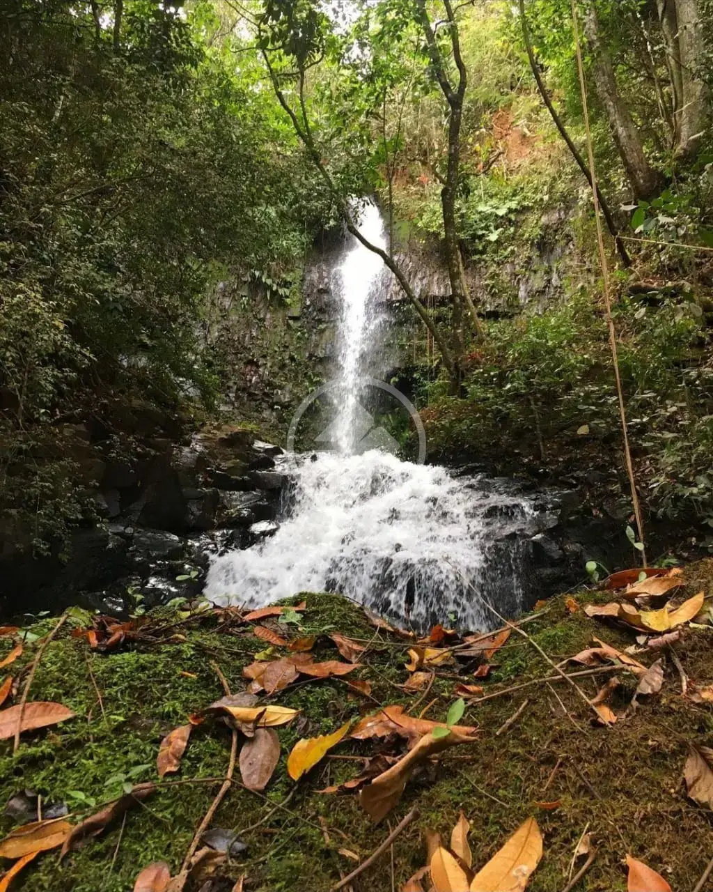 Imagem 1 - Fazenda em Zona Rural, Araguari - MG