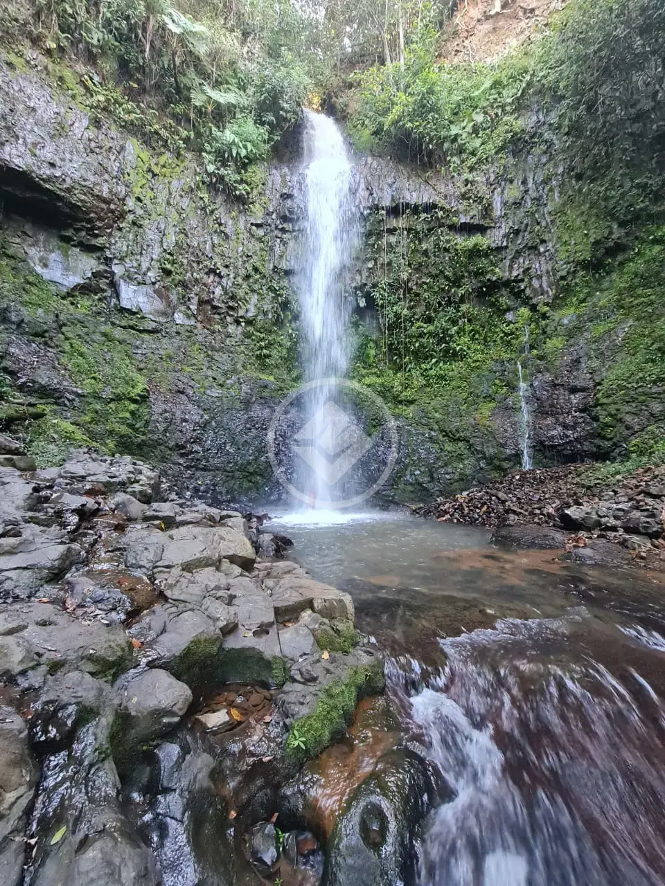 Imagem 5 - Fazenda em Zona Rural, Araguari - MG