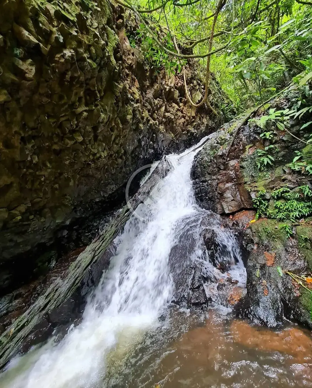 Imagem 4 - Fazenda em Zona Rural, Araguari - MG