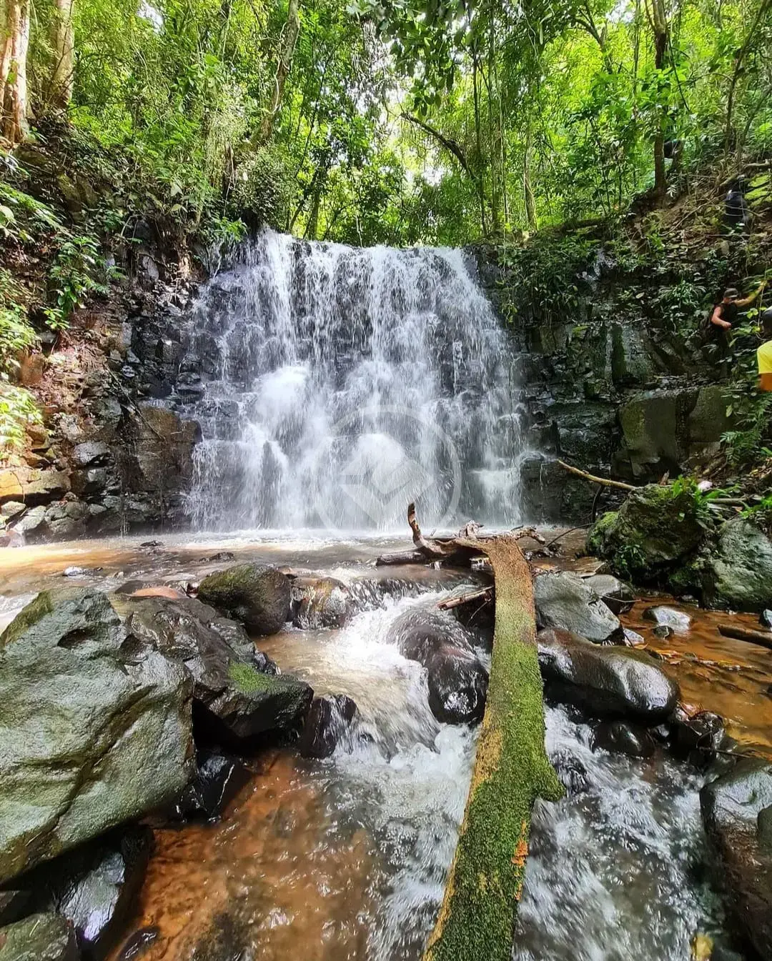Imagem 2 - Fazenda em Zona Rural, Araguari - MG